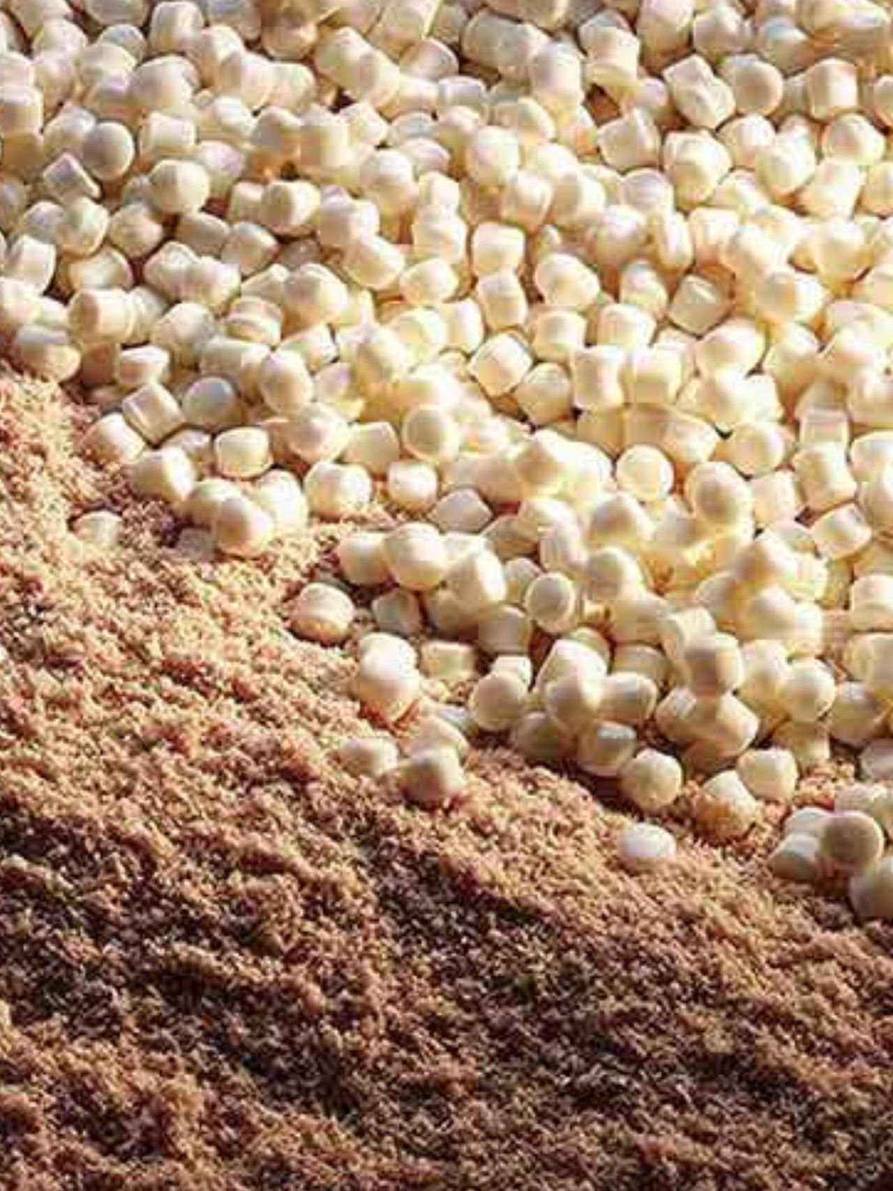 Ang Katotohanan Tungkol sa Wood Flour sa WPC: Kung Ano ang Talagang Ipinapakita ng Data Ang Katotohanan Tungkol sa Wood Flour sa WPC: Kung Ano ang Talagang Ipinapakita ng Data